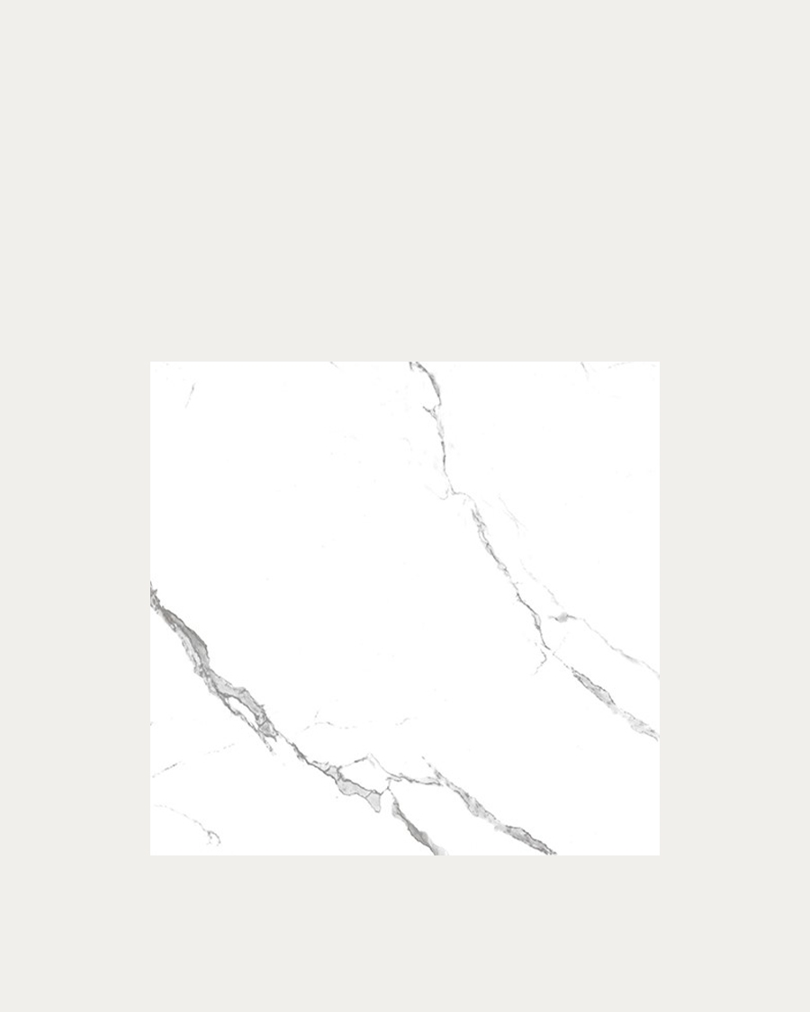 Pločica Idealker S Calcatta Levigato 120x120 cm